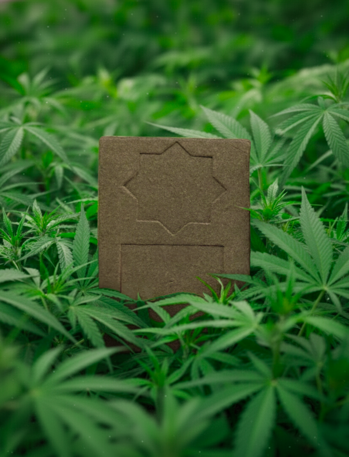 Le Beldi - Mousseux - MIM